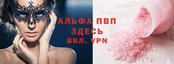 молекула духа Галич