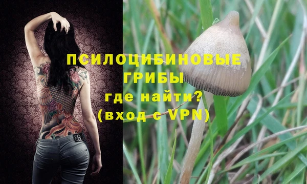 прущий лед Киренск