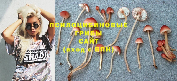 мдма Гатчина