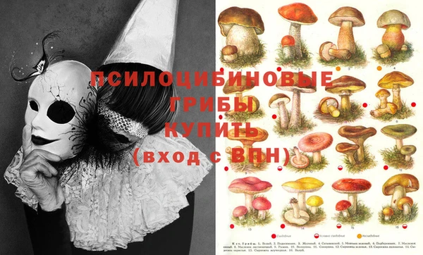 прущий лед Киренск